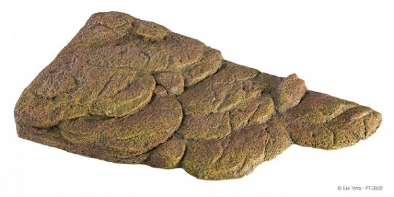 Exo Terra Turtle Bank